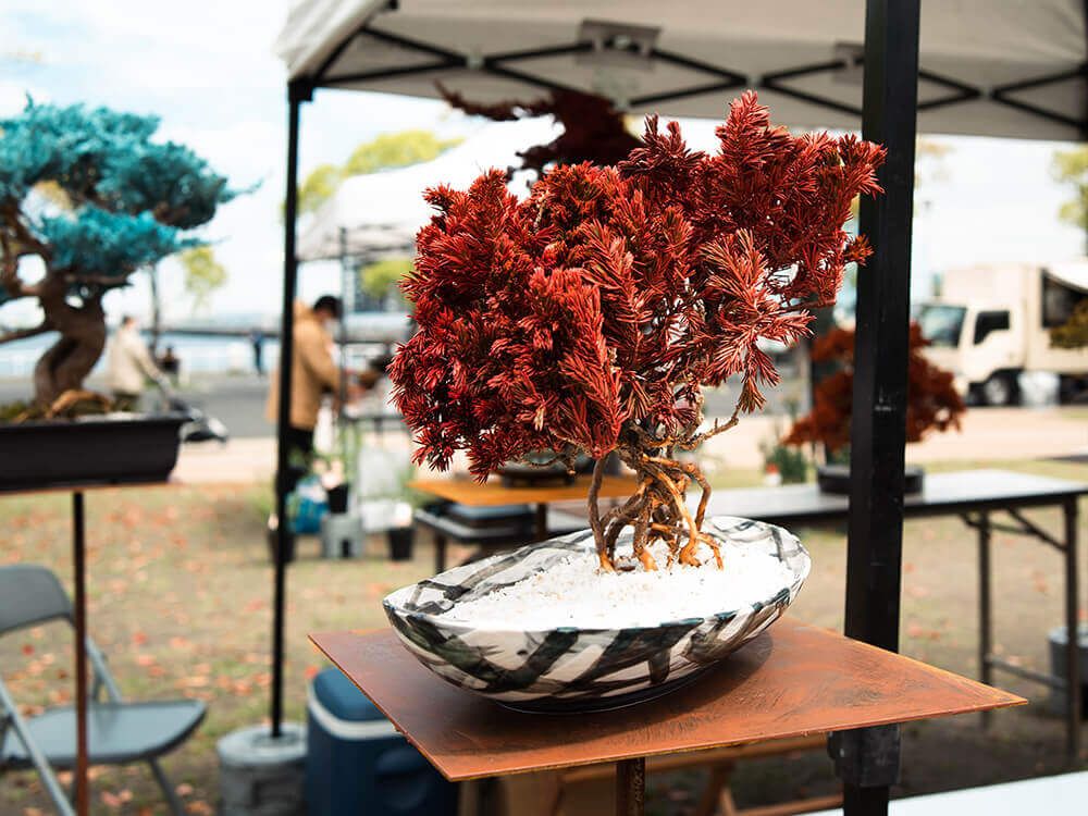 グリーンスナップマルシェ@横浜