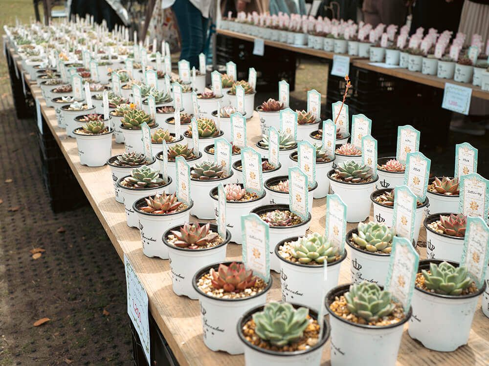 グリーンスナップマルシェ@横浜