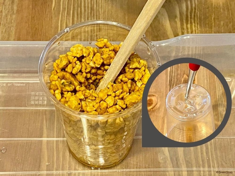 バラ 挿し木 ポットに土をいれる