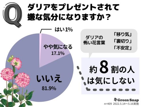 ダリアの花言葉には怖い意味もある 色別の意味は 見頃の季節はいつ Greensnap グリーンスナップ