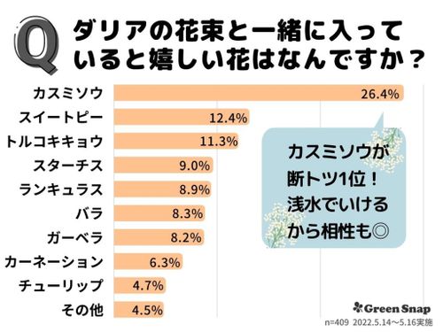 ダリアの花言葉 怖い意味があるって本当 見頃の季節はいつ Greensnap グリーンスナップ