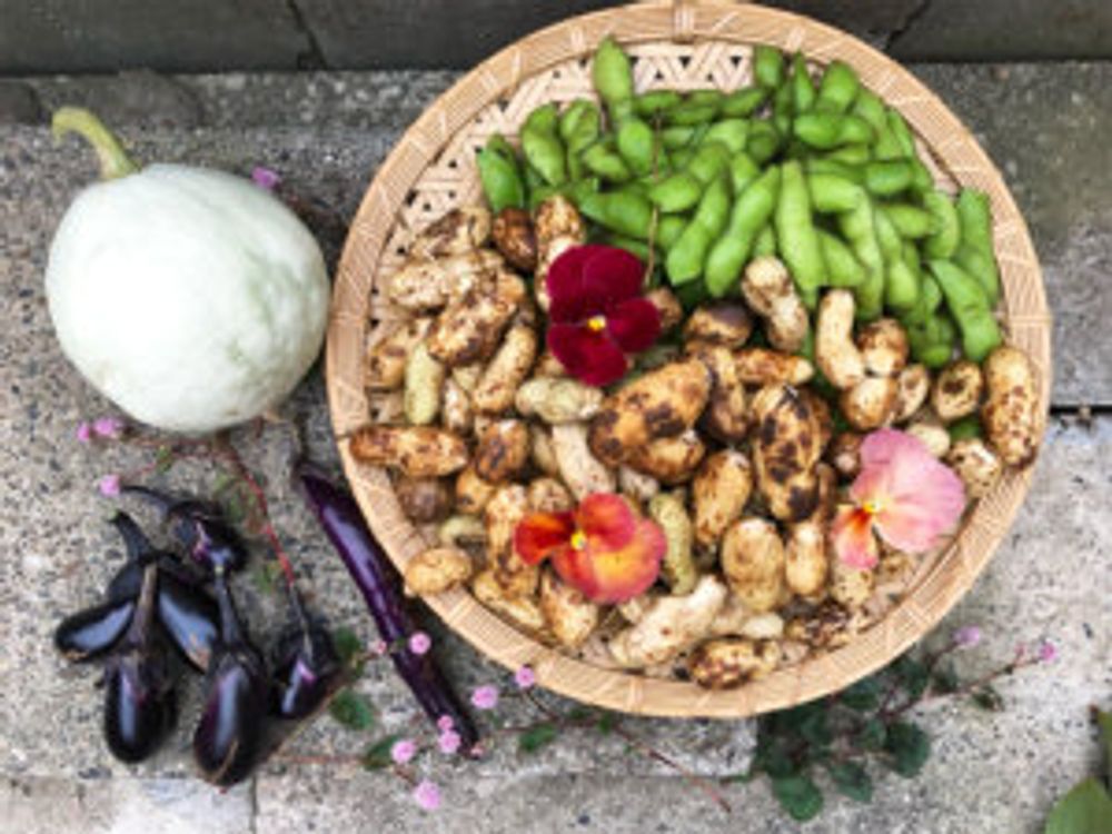 落花生　コンパニオンプランツ