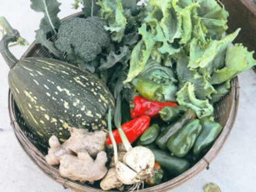 ニンニクのコンパニオンプランツ 相性の良い 悪い野菜やデメリットは Greensnap グリーンスナップ