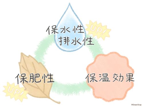 腐葉土とは 作り方と使い方は 効果とデメリットを解説 Greensnap グリーンスナップ