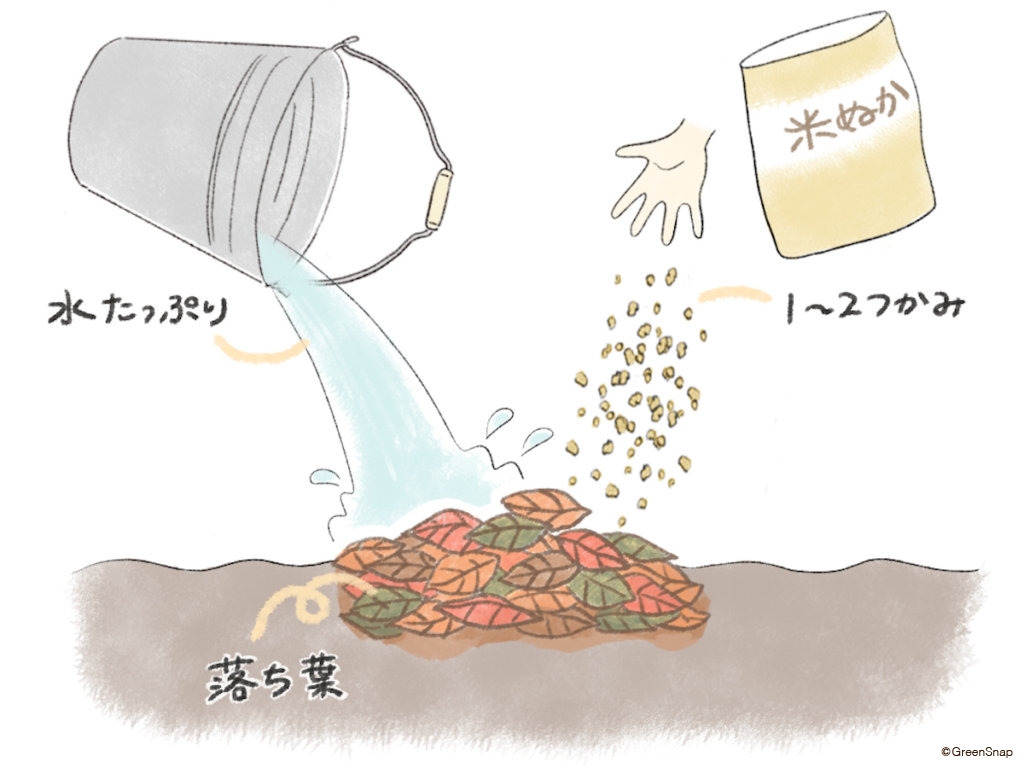 腐葉土の作り方 落葉に水と米ぬかを混ぜる