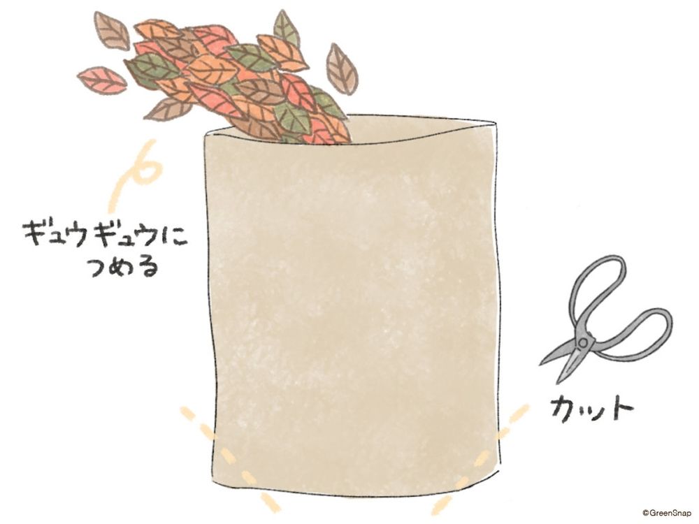 腐葉土の作り方 ビニール袋につめる