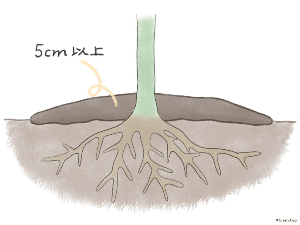 腐葉土の作り方 マルチング