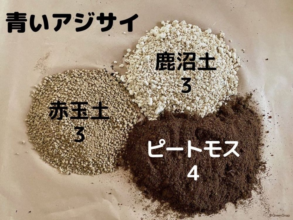 紫陽花の土 青い配合