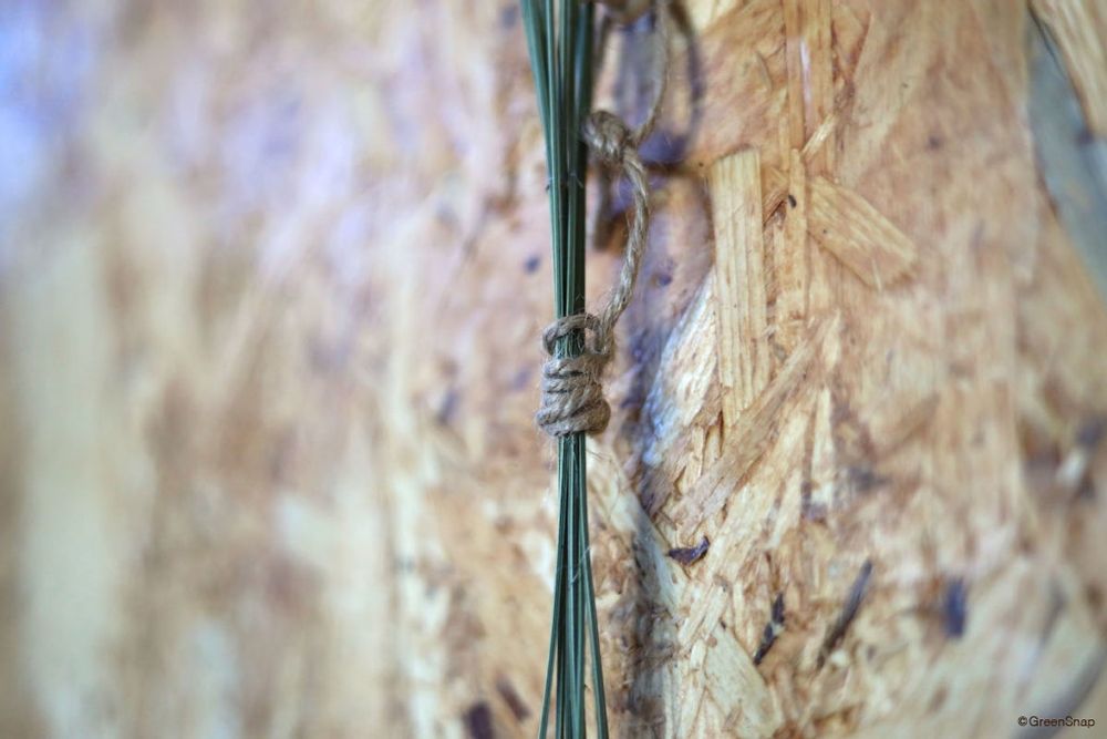 ラベンダー ドライフラワーの作り方 紐で縛る