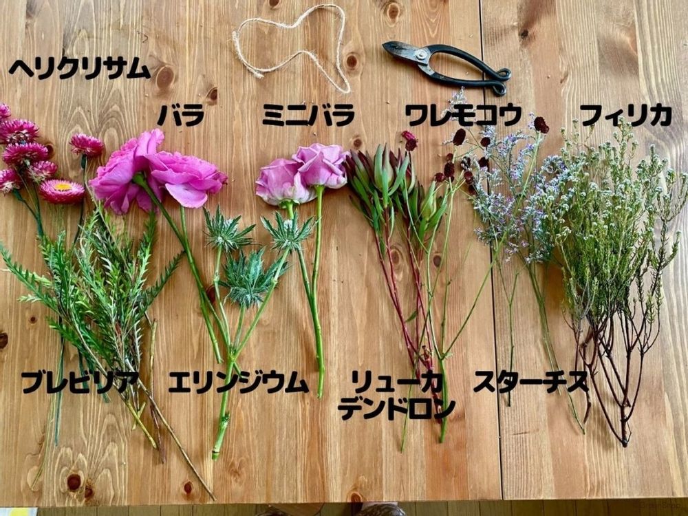 ドライフラワー 花材