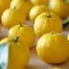 【ゆずの収穫時期とタイミング】関東の取りごろの目安はいつ？の画像