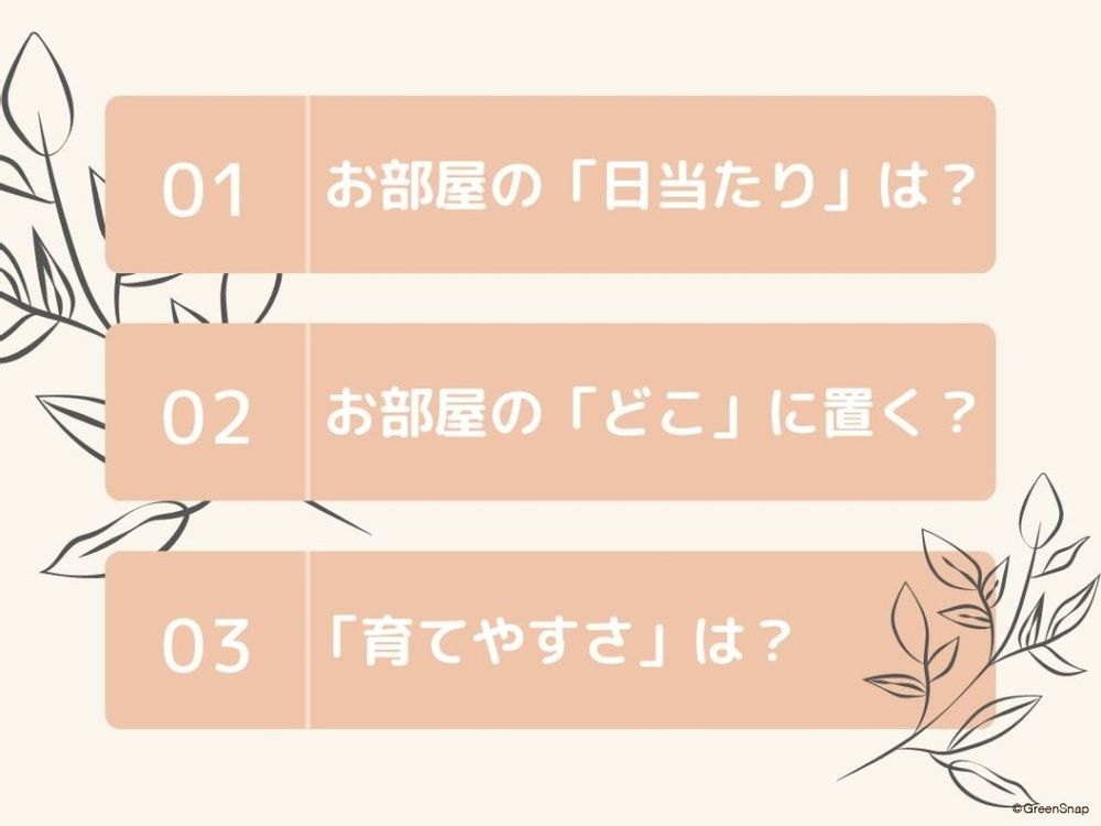 インテリアにする観葉植物の選び方