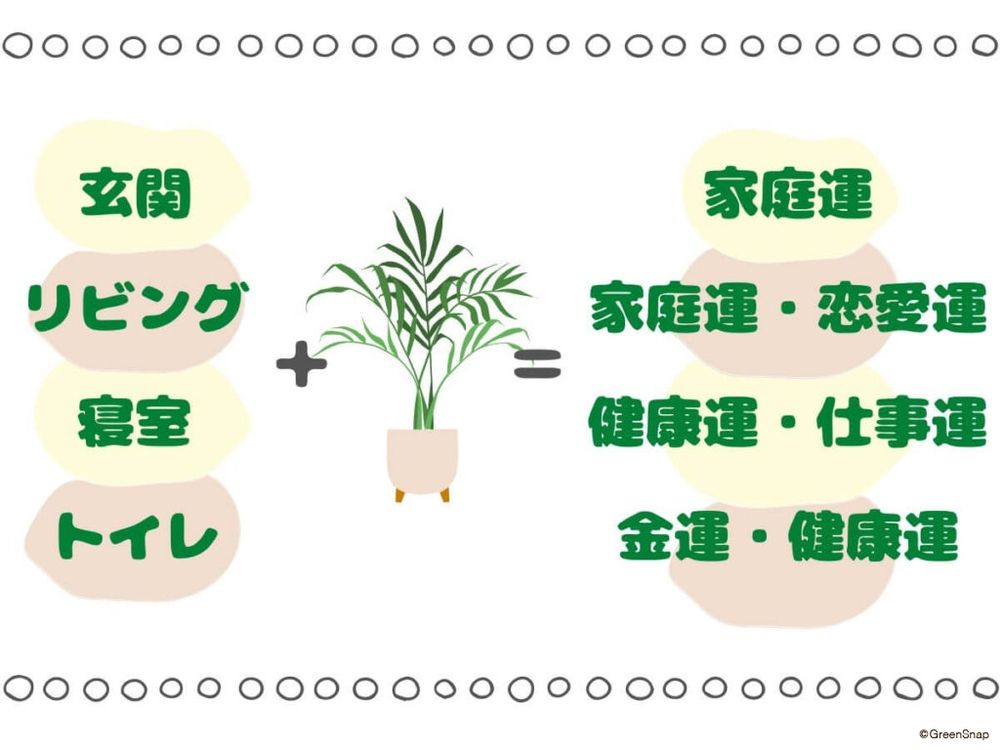 置き場所別 観葉植物の風水効果