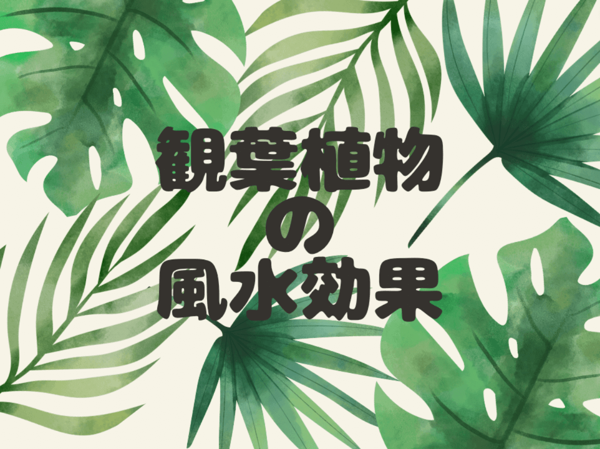 風水効果がある観葉植物選 金運 恋愛運が上がるのは 置き場所はどこ Greensnap グリーンスナップ