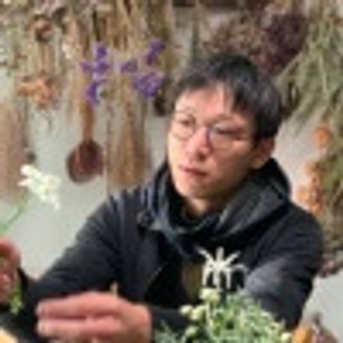 カーネーションの育て方 鉢植え 地植えへの植え替え方法は 挿し木のコツは Greensnap グリーンスナップ