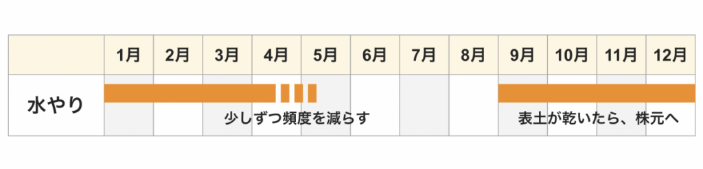 シクラメン 水やりカレンダー 9〜3月頃の間は表土が乾いたら株元へ水やりして、4月頃から徐々に頻度を減らす