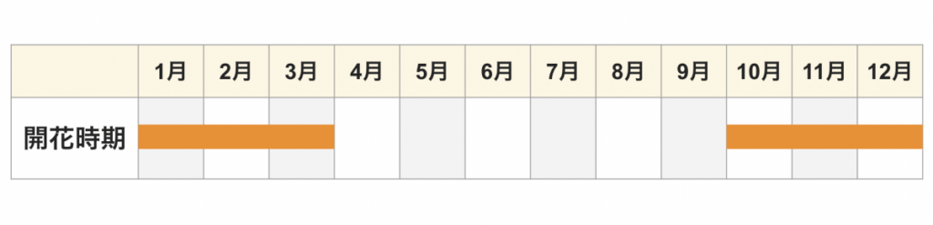 シクラメン 開花時期カレンダー 開花時期は10〜3月