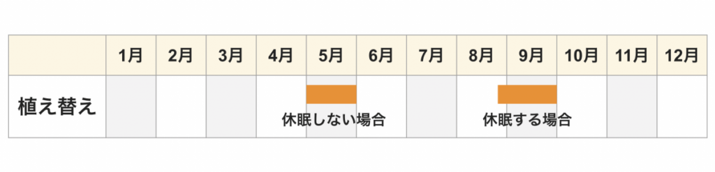 シクラメン 植え替え時期カレンダー 休眠しない場合は5月、休眠する場合は8月下旬から9月