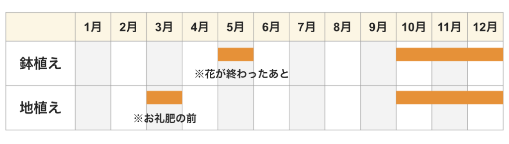 クリスマスローズ 植え付けカレンダー 10〜12月頃が適期