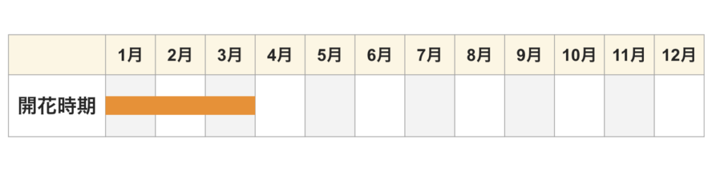 クリスマスローズ 開花時期カレンダー 1〜3月頃が見頃
