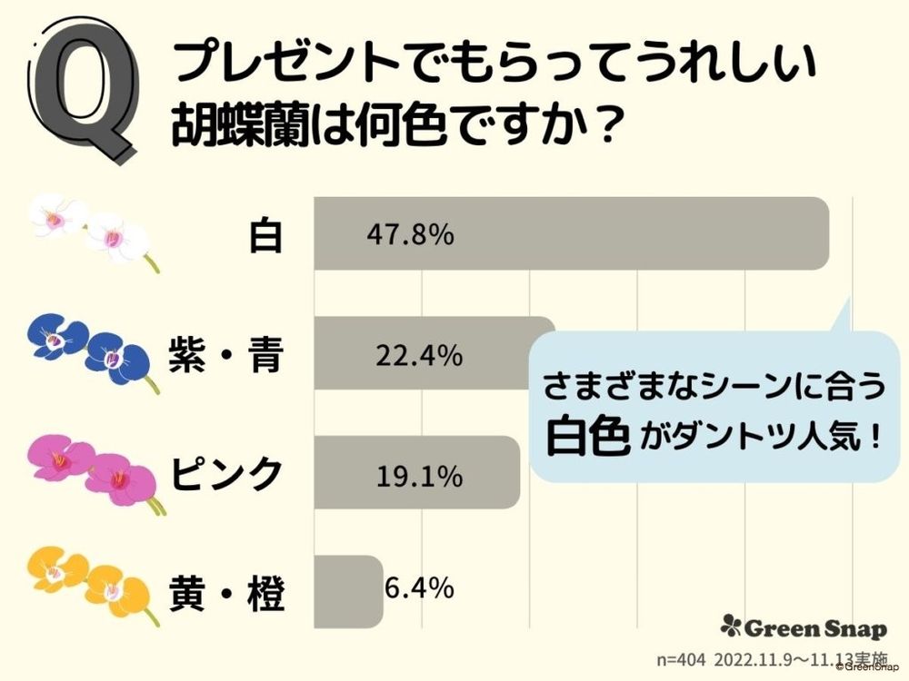 胡蝶蘭の花言葉アンケート プレゼントに人気の色