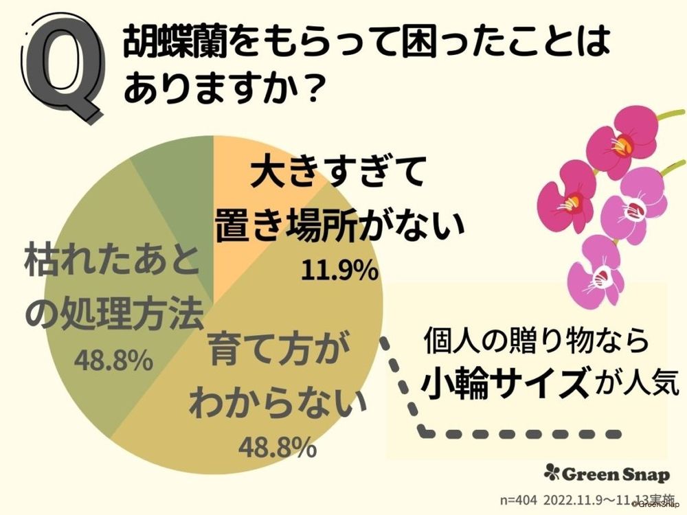 胡蝶蘭の花言葉アンケート もらって困ったこと