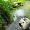 この夏、おうち周りのヤブ蚊遭遇率を激減させて、快適に過ごしてみませんか？の画像