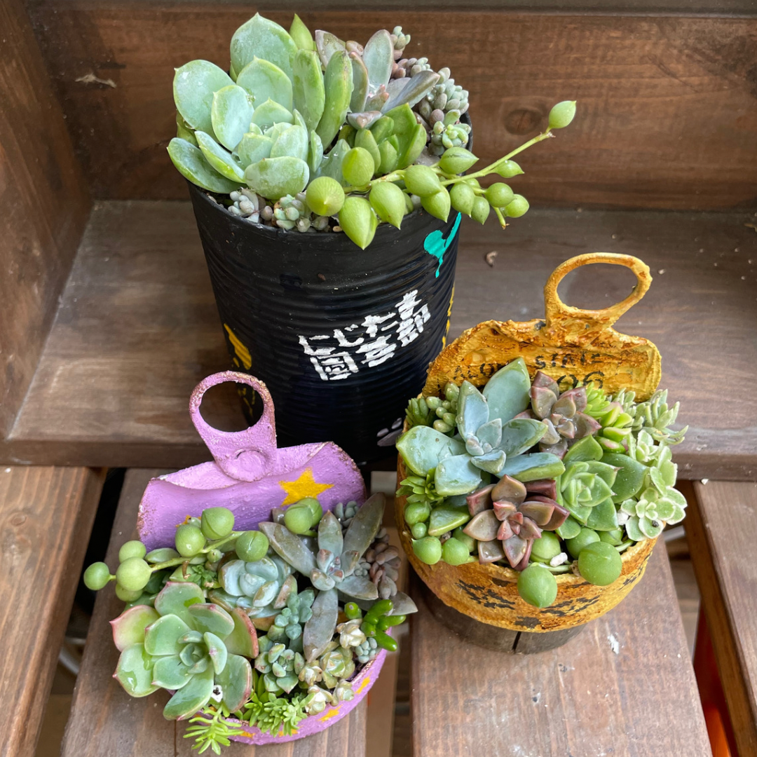 にじたま園芸部