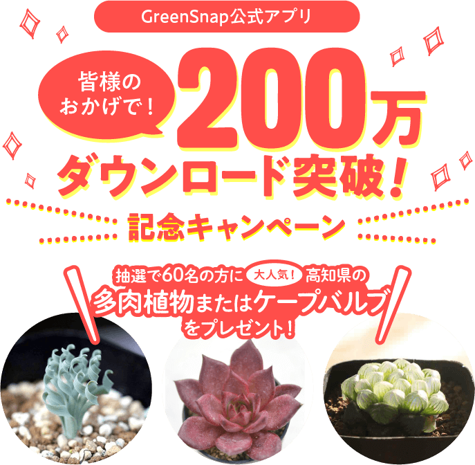 GreenSnap公式アプリ 皆様のおかげで、200万ダウンロード突破！記念キャンペーンを開催！